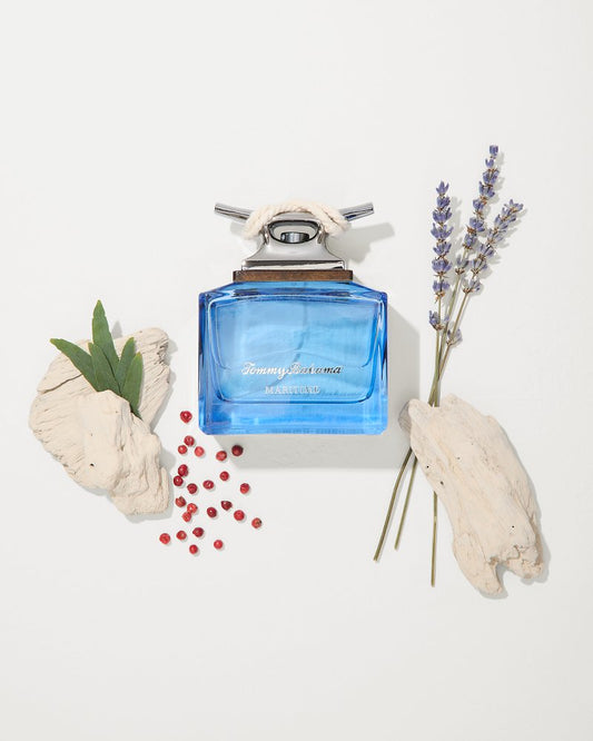 Maritime 4.2-oz. Cologne Multicolor | Tommy Bahama Popular - Maritime 4.2-oz. Cologne