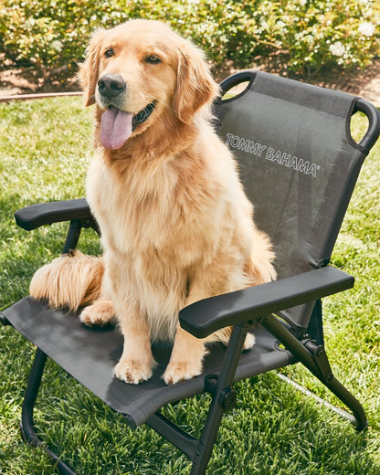 Tommy Bahama Excursion Chair Grey | Tommy Bahama Best Seller - Tommy Bahama Excursion Chair
