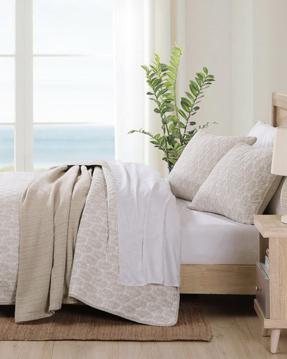 Bahama Fronds Reversible 3-Piece Full/Queen Quilt Set Brown | Tommy Bahama Great Value - Bahama Fronds Reversible 3-Piece Full/Queen Quilt Set