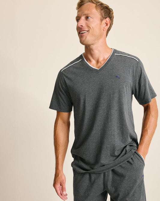 Big & Tall Jersey Short-Sleeve V-Neck T-Shirt Heather Charcoal Grey | Tommy Bahama Premium - Big & Tall Jersey Short-Sleeve V-Neck T-Shirt