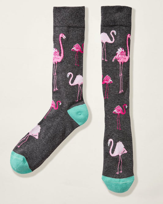 Let's Flamingle Socks Charcoal Heather | Tommy Bahama Trusted - Let's Flamingle Socks