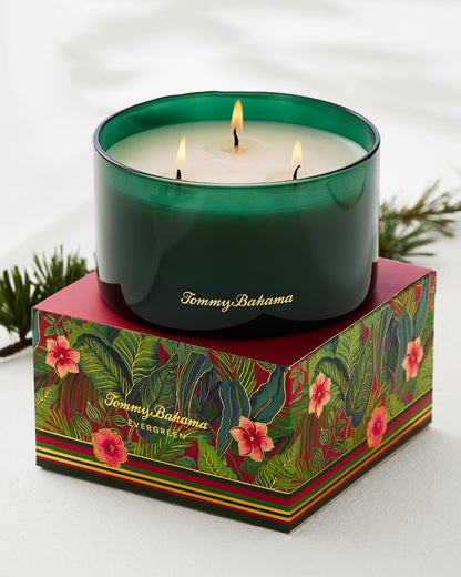 Evergreen 14.5-oz. Boxed 3-Wick Candle Evergreen | Tommy Bahama Trusted - Evergreen 14.5-oz. Boxed 3-Wick Candle