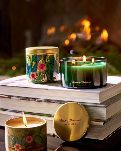 Evergreen 14.5-oz. Boxed 3-Wick Candle Evergreen | Tommy Bahama Trusted - Evergreen 14.5-oz. Boxed 3-Wick Candle