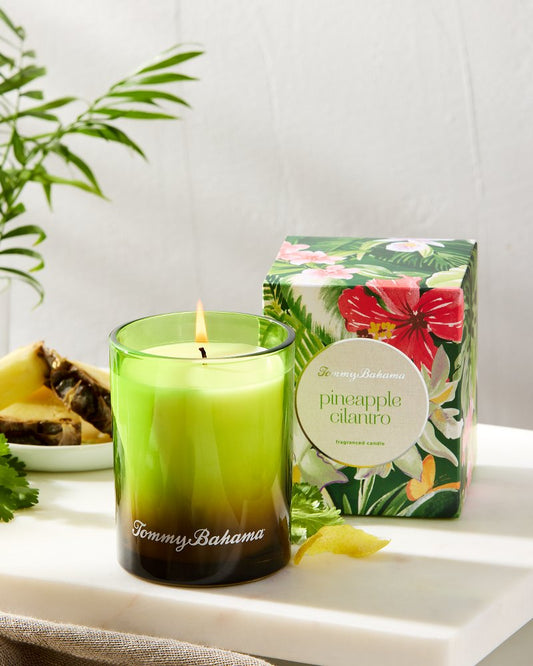 Pineapple Cilantro 7.5-oz. Boxed Poured Candle Pineapple Cilantro | Tommy Bahama Latest - Pineapple Cilantro 7.5-oz. Boxed Poured Candle